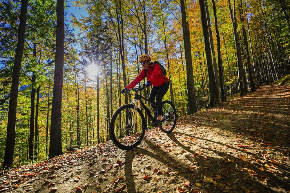 Man biking thru the woods