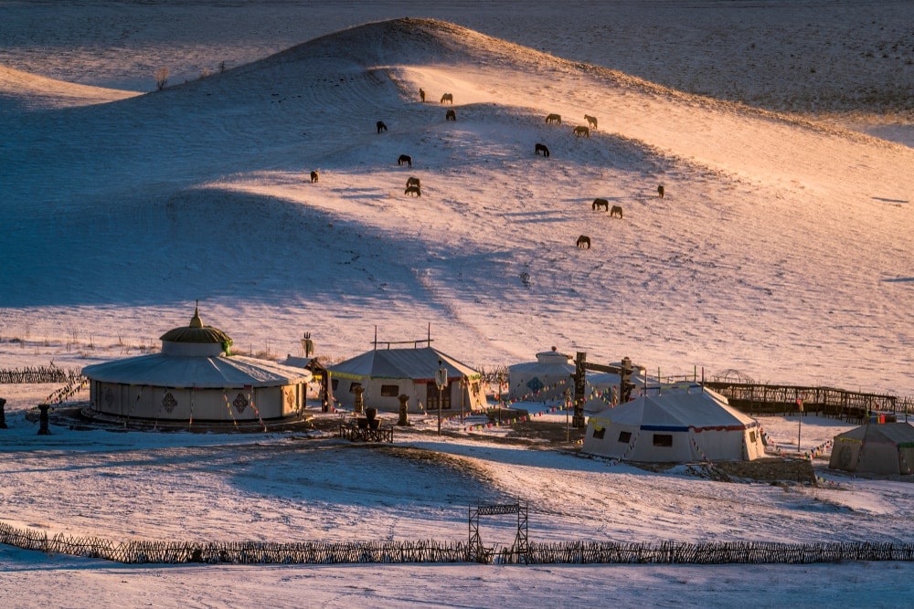 Tent houses in the middle of a snowy desert