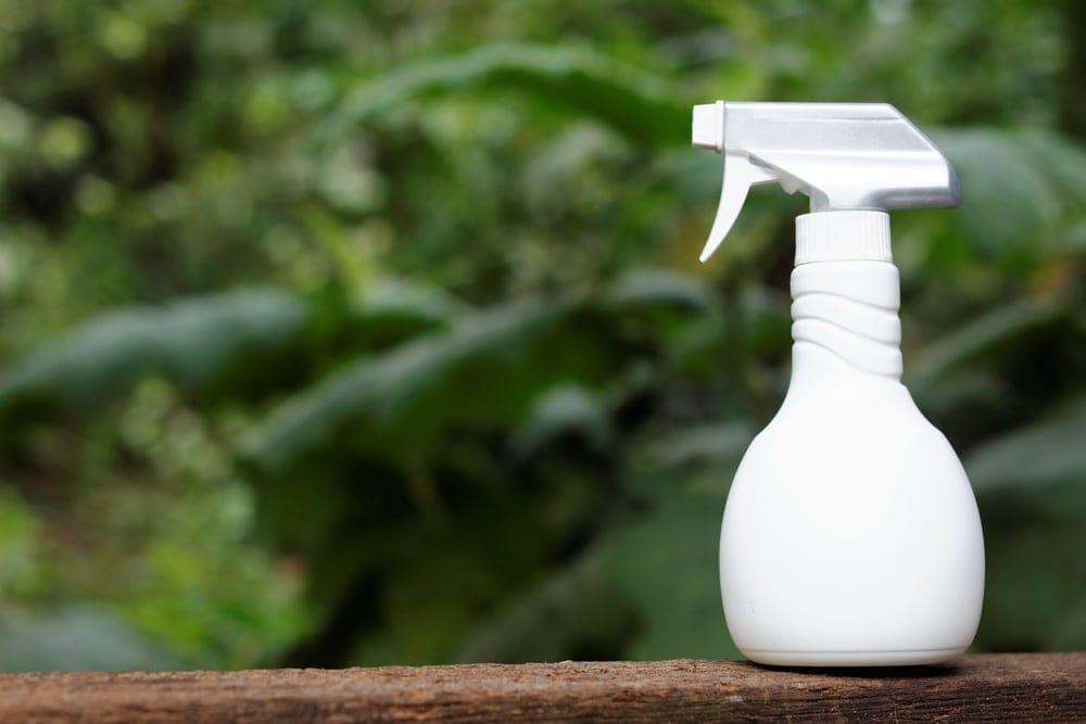 White spray standing on a wood