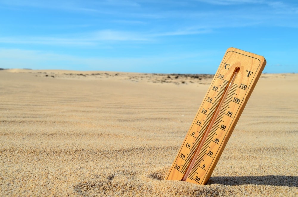 Standing thermometer in the desert