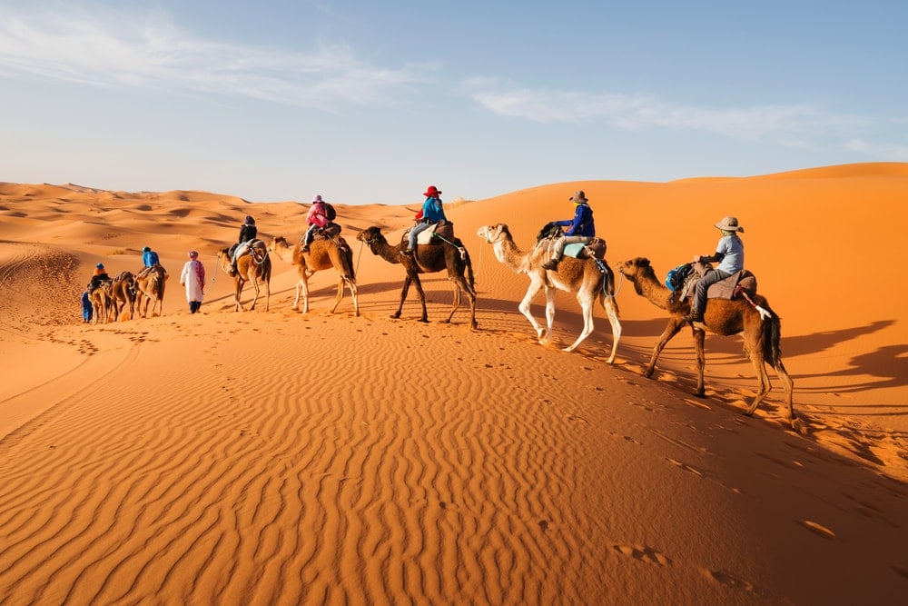 Men riding camels in Sahara desert