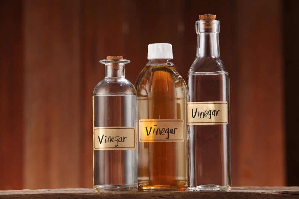 White vinegar bottles