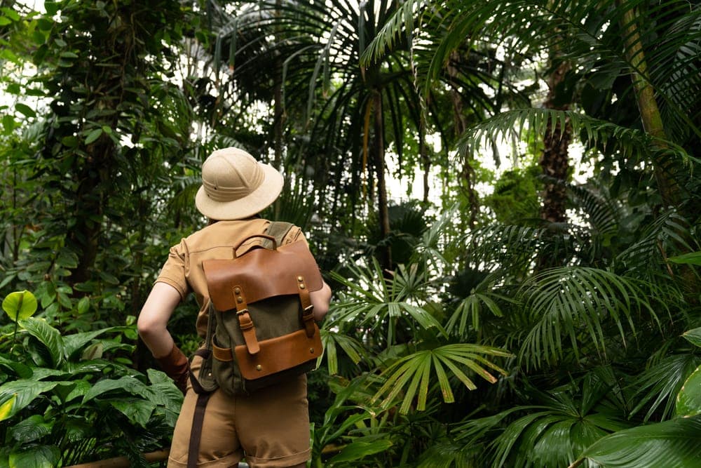 Hiking in nature in the forest
