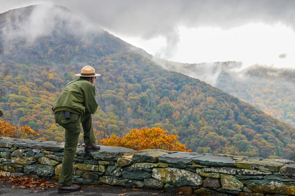 A park ranger looking at the mountains