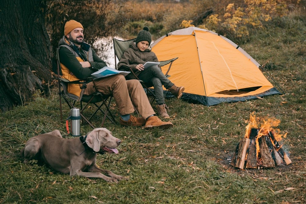 Dog with his owner relaxing while camping