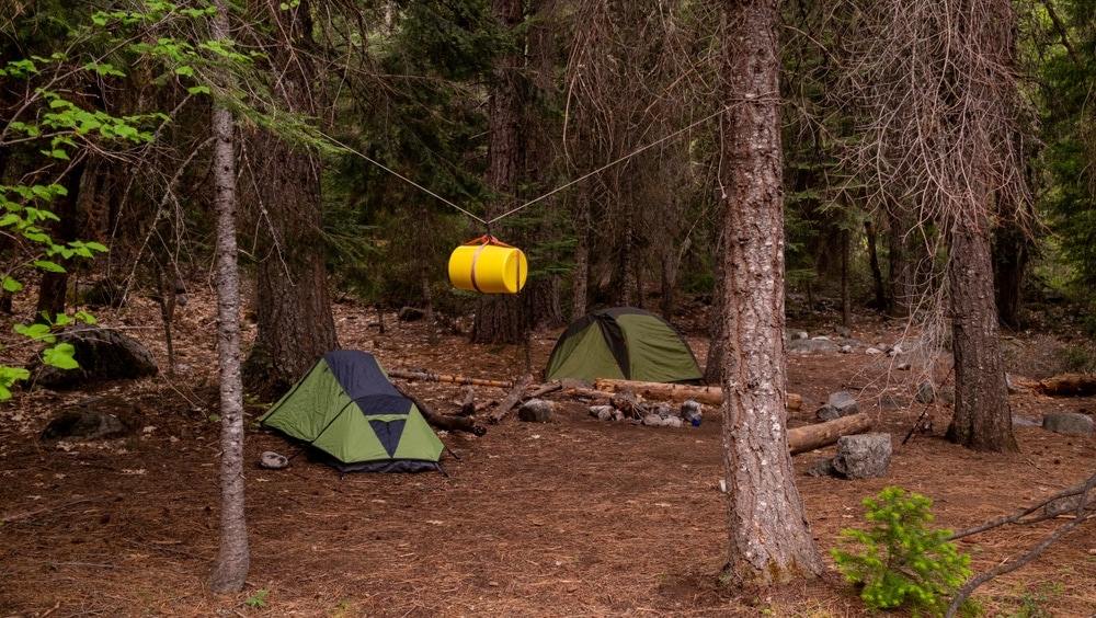 Bear hang kit between trees