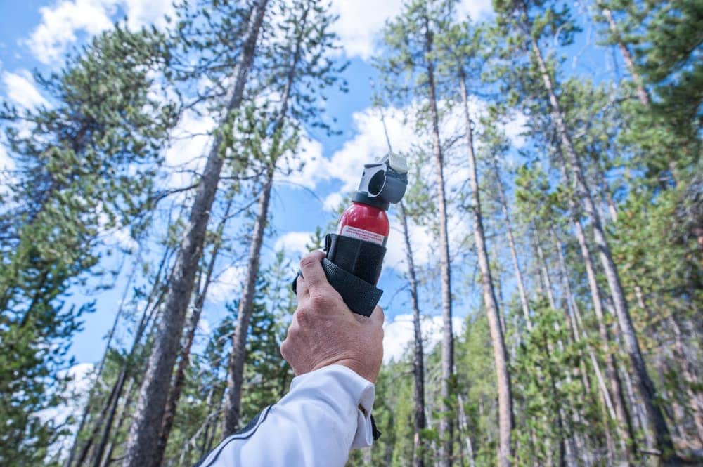 Man holding a bear spray
