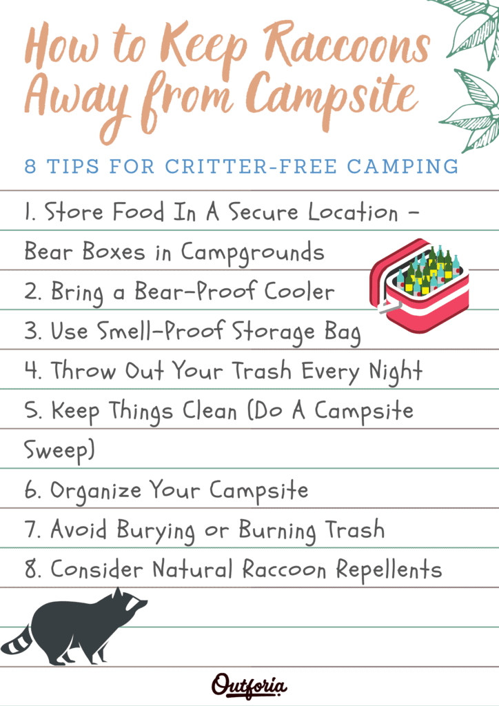 How to keep racoons away infographic