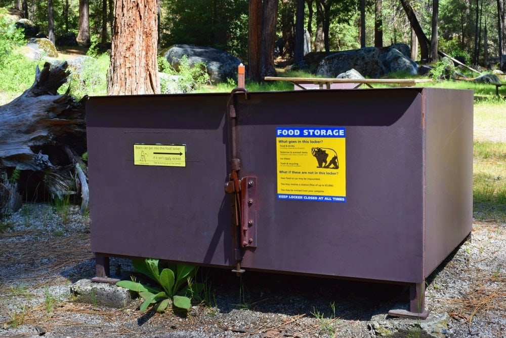 Bear box in the campground to keep bears and raccoons away from the campsite