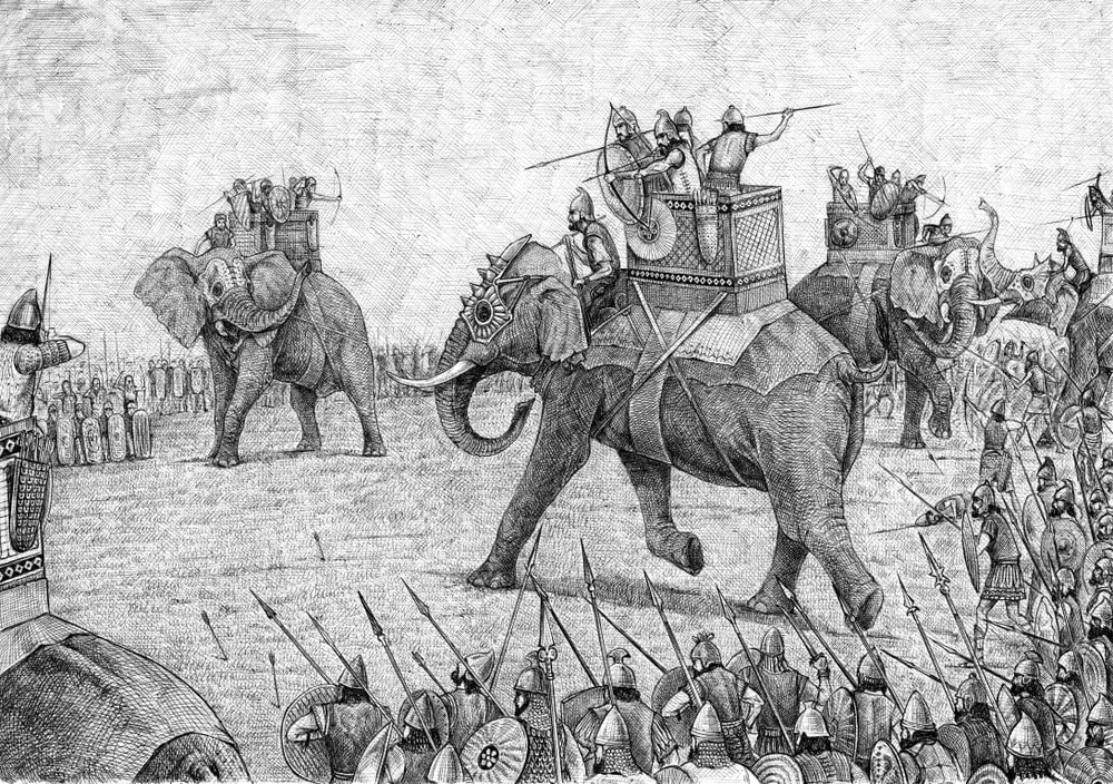 Sketch of North African Bush Elephant (Loxodonta africana pharaonensis)