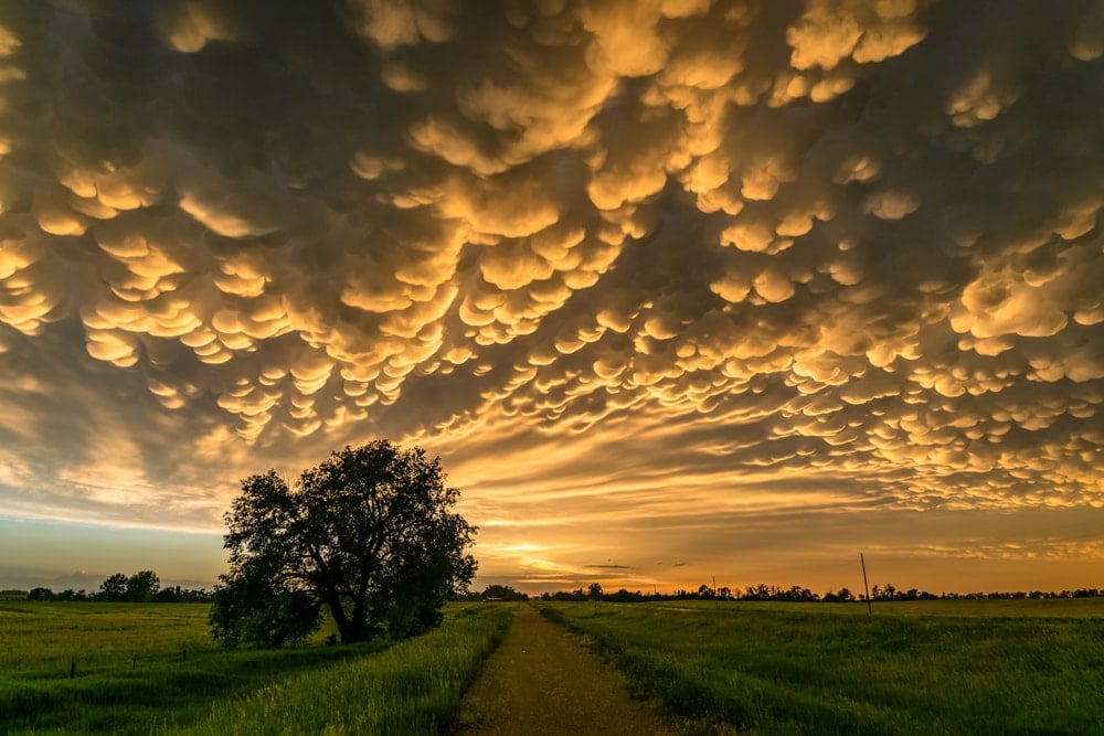 Mammatus clouds at the back of a thunderstorm over Sunset