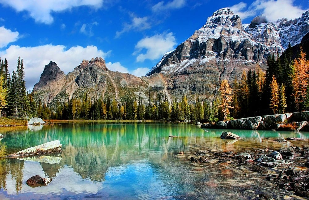 Water at a Yoho National Park