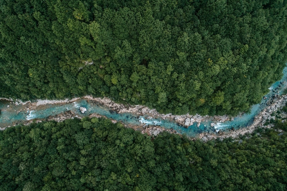 Aerial view of a river flowing in the forest
