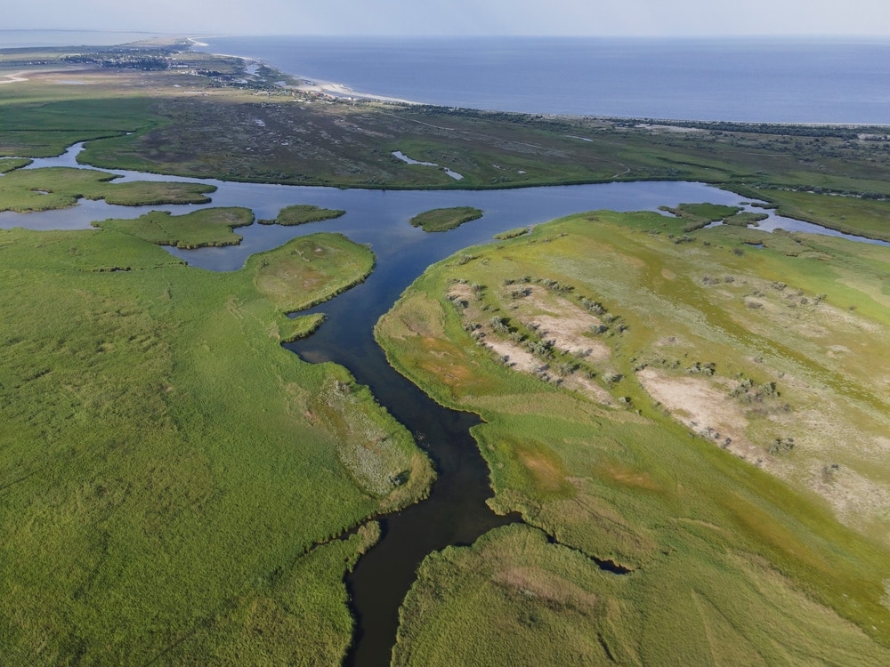 Aerial view on the distributary channel of Danube river flowing into the Black Sea