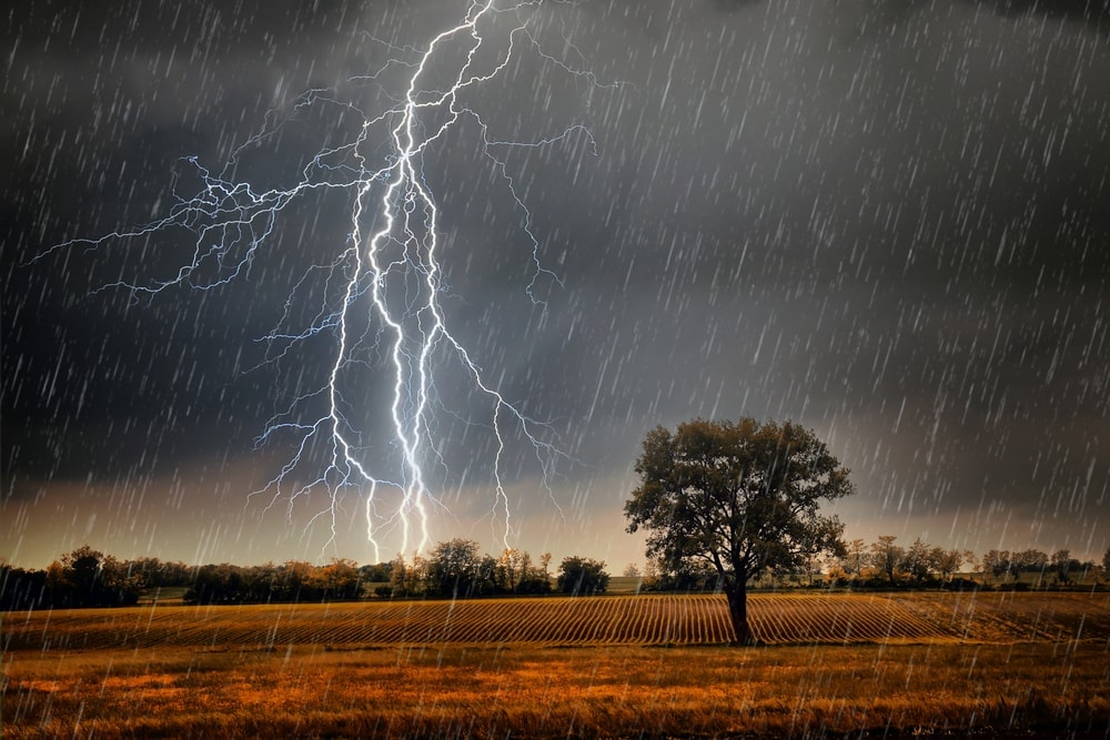 Rainstorm on the field