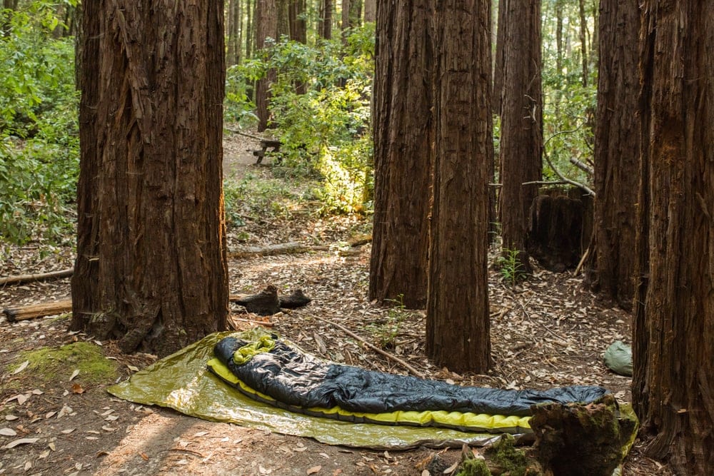 Cowboy camping with only tarp, sleeping bag, and sleeping pad under tall trees
