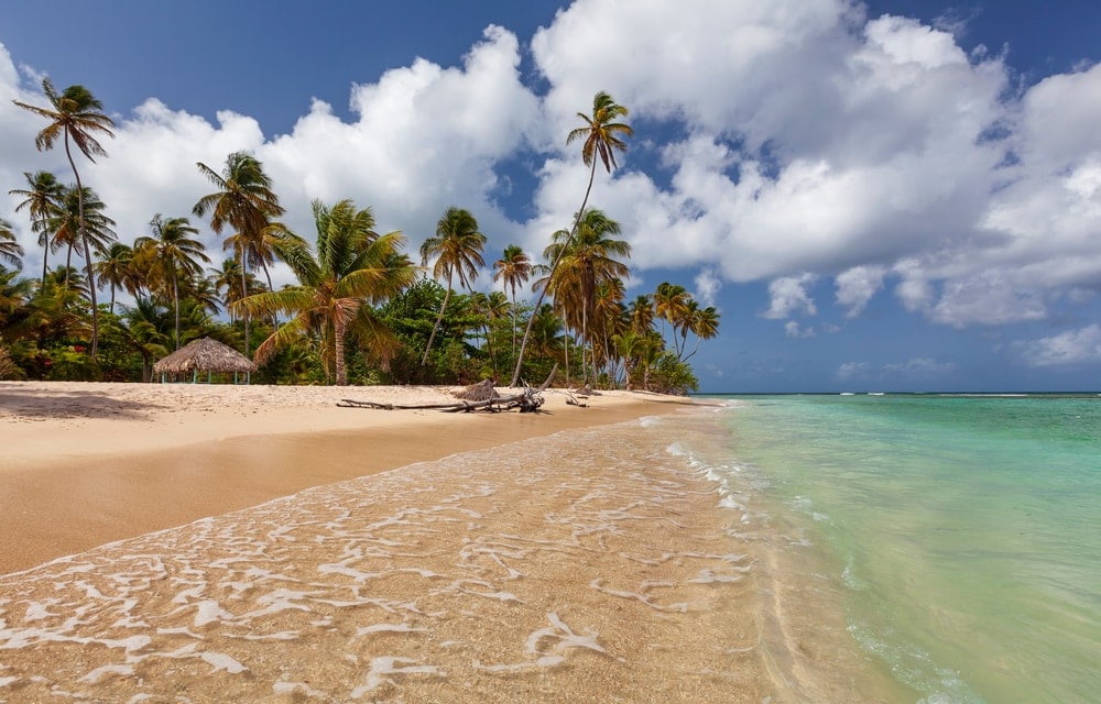 Beach coastal landform in Pigeon Point Trinidad