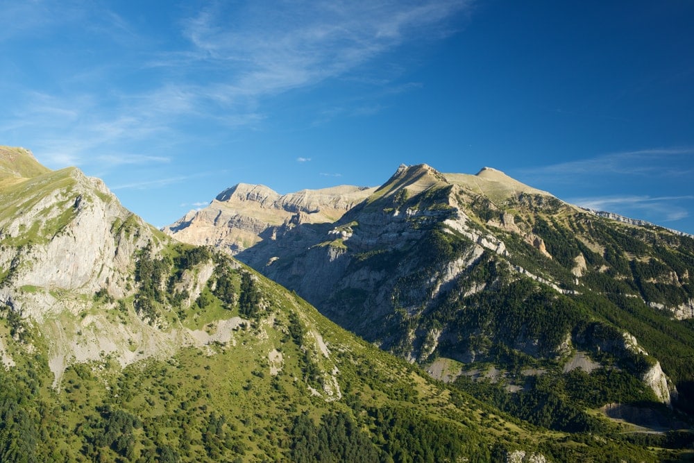 Mountain pyranees