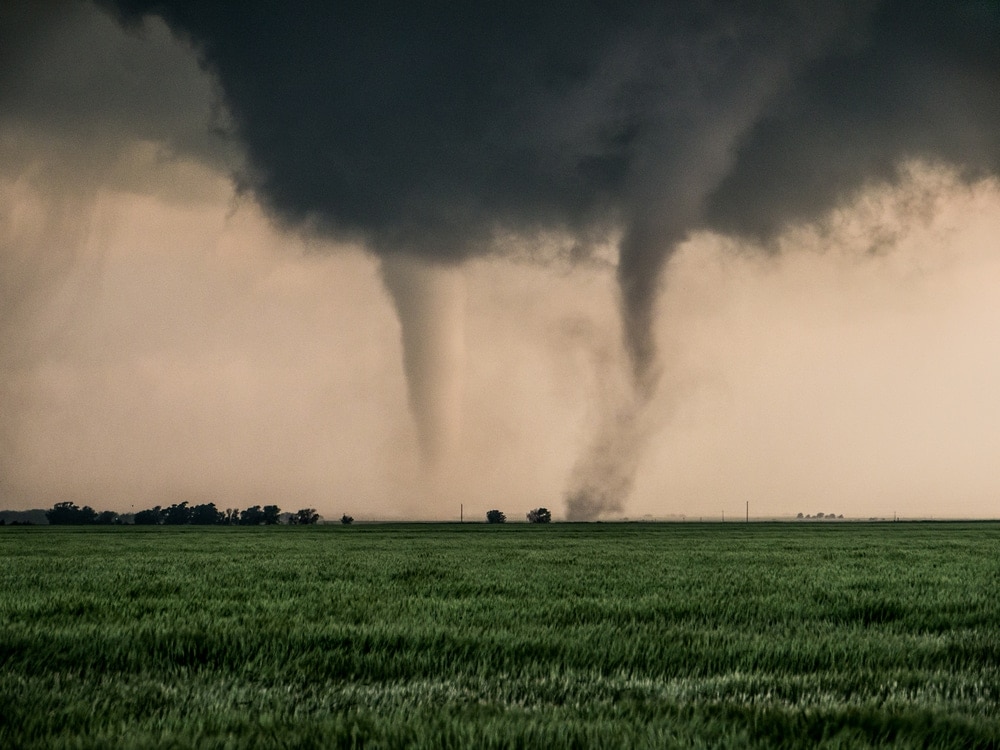 A pair of tornadoes taking a destructive path through a farmyard