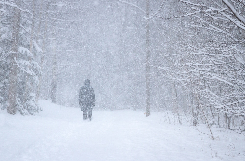 A person walking through trees during a winter blizzard, a type of natural disasters