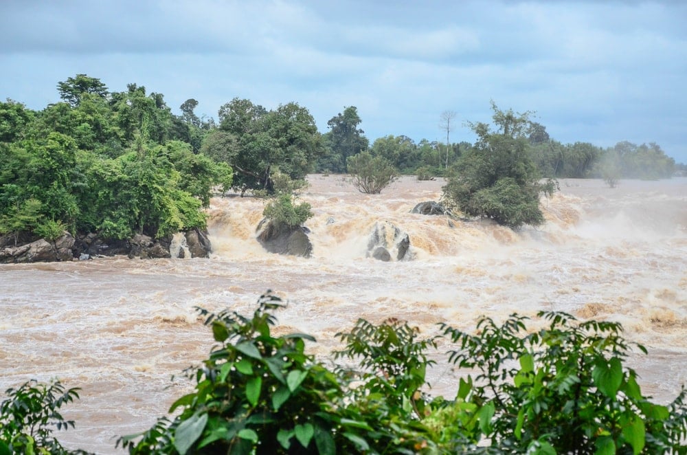Flash flood flowing through trees