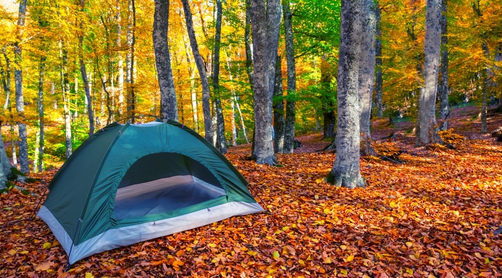 Tent on autumn leaves