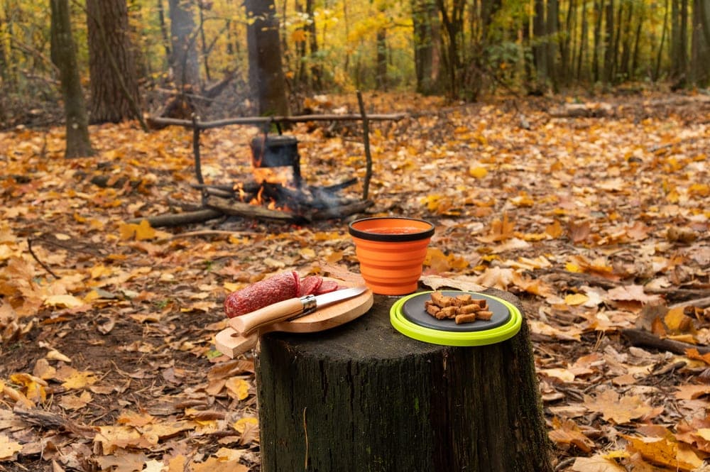 Cooking ingredients and camping equipment on a tree stump near a campfire