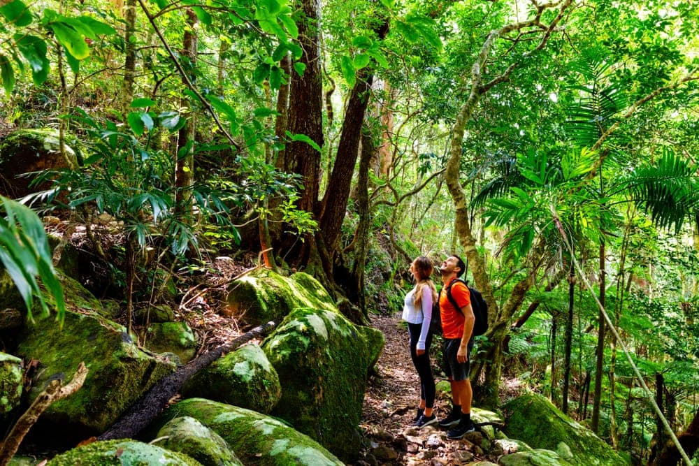Man and woman watching the trees on their hiking date