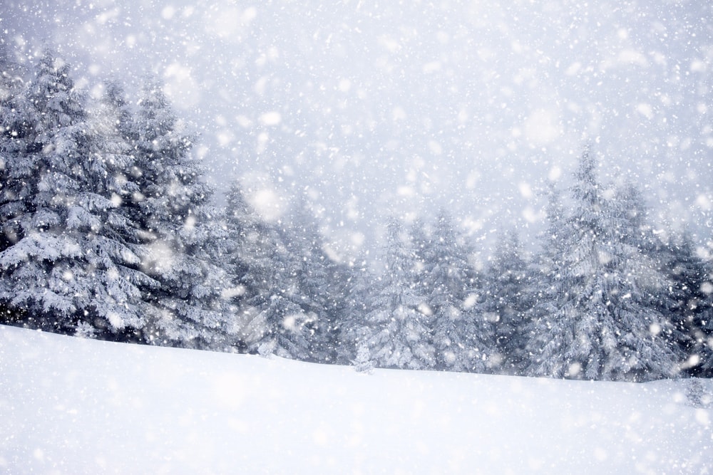 Snowstorm