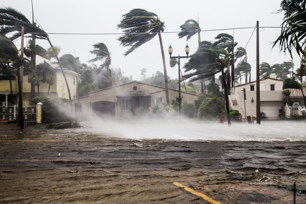 Flooded street and strong wind during a tropical cyclone