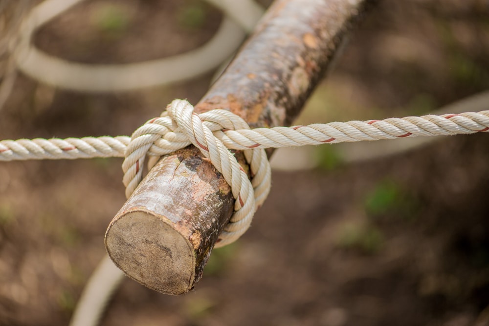 Tying a knot in a tree