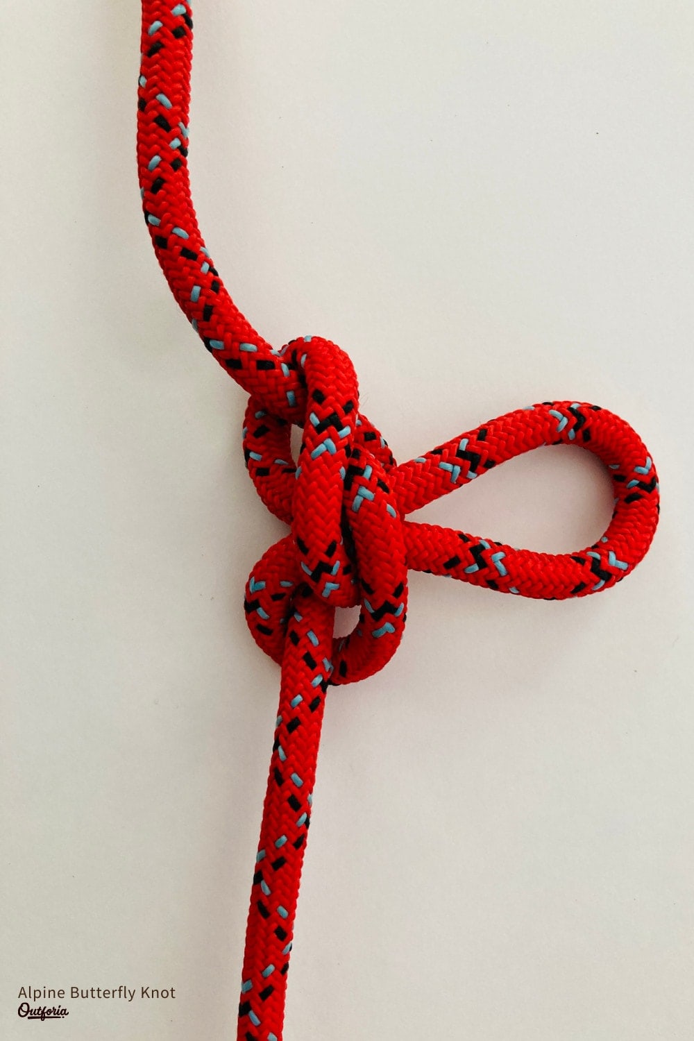 Alpine Butterfly Knot
