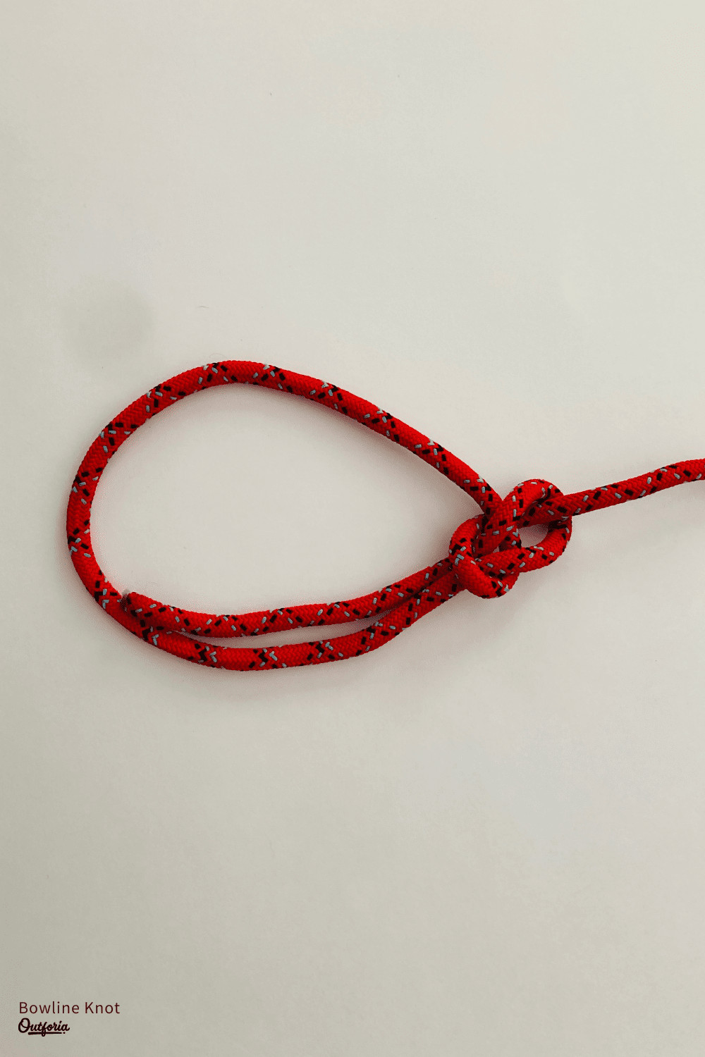 Bowline Knot Image