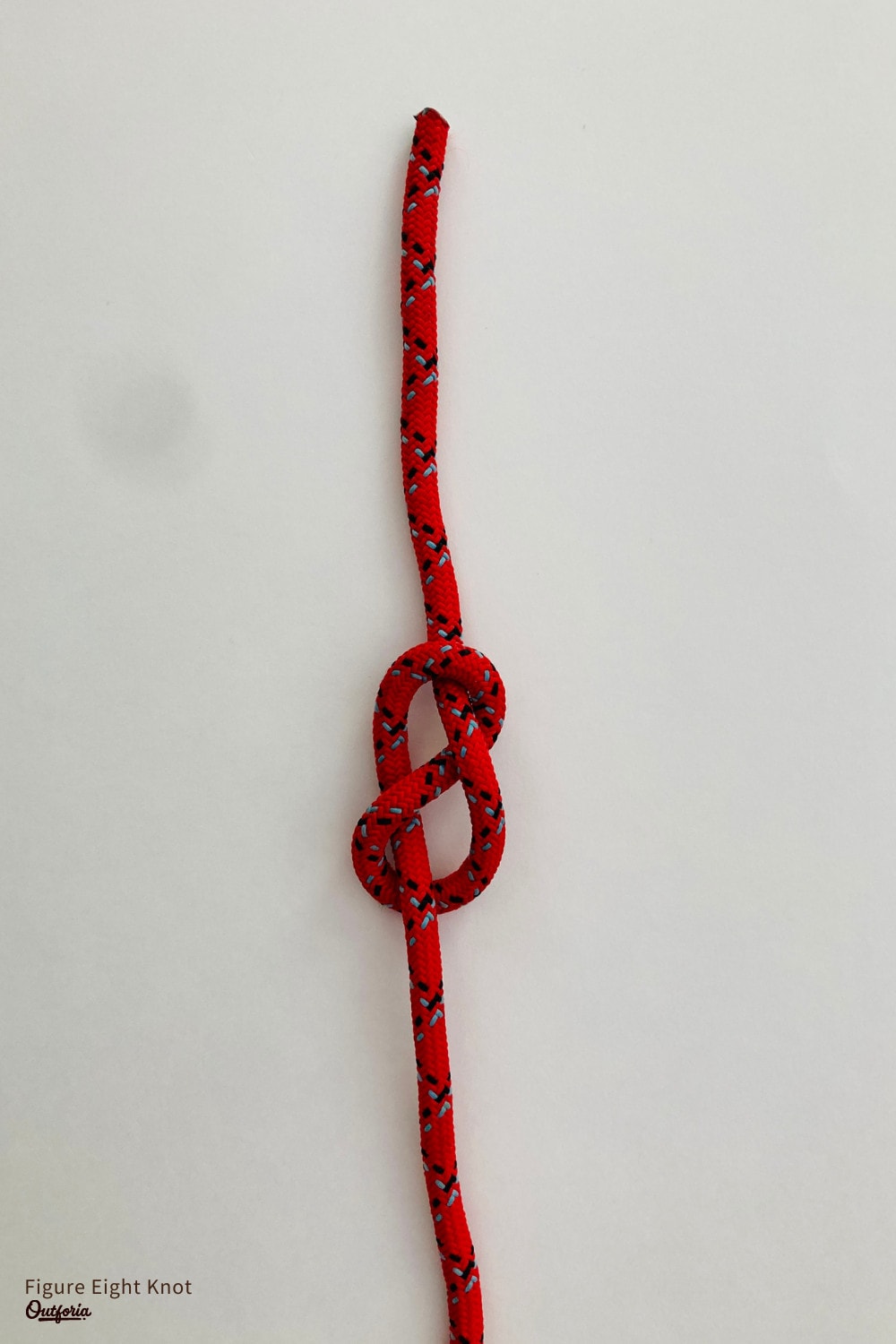 Figure eight knot image