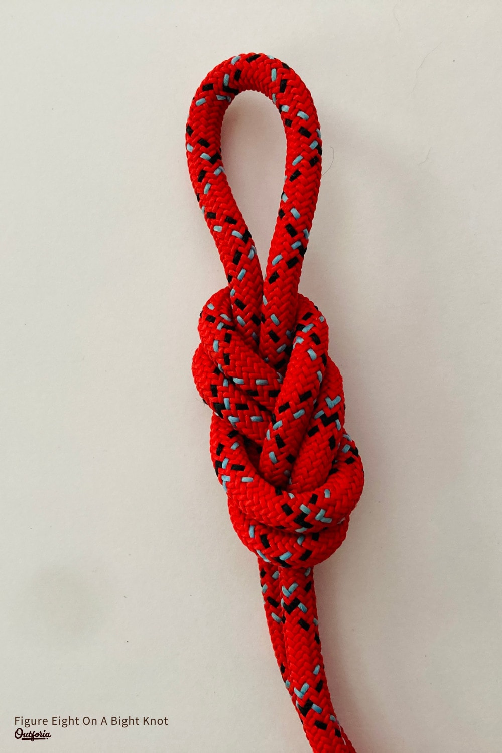 Figure Eight On A bight knot