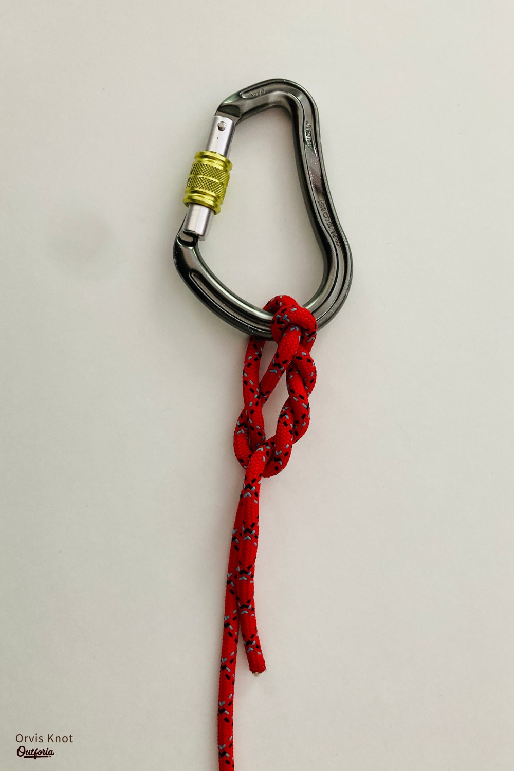 Orvis Knot