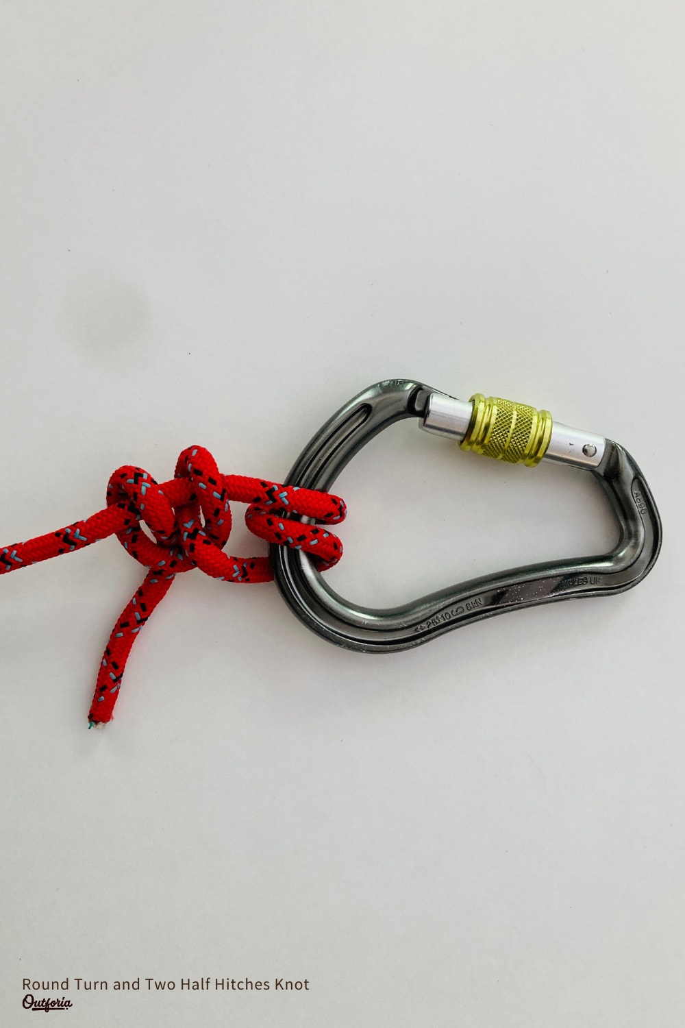 Round Turn & Two Half Hitches Knot