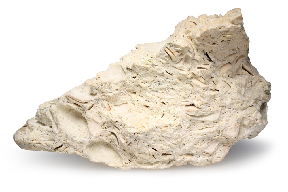 Coquina rock type