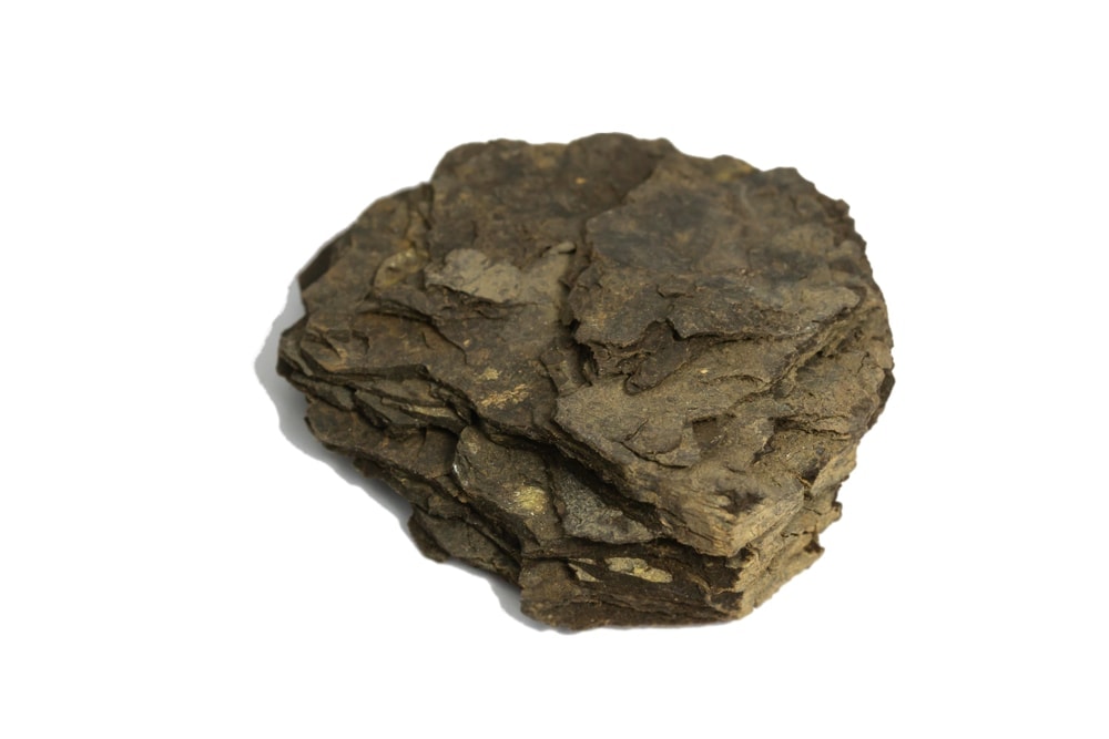 Oil shale rock