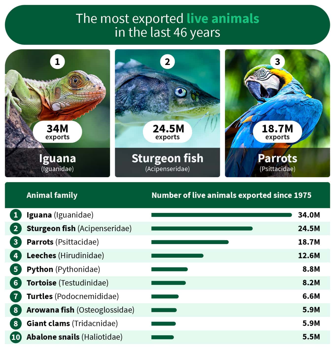 graph about the most exported live animals in the last 46 years