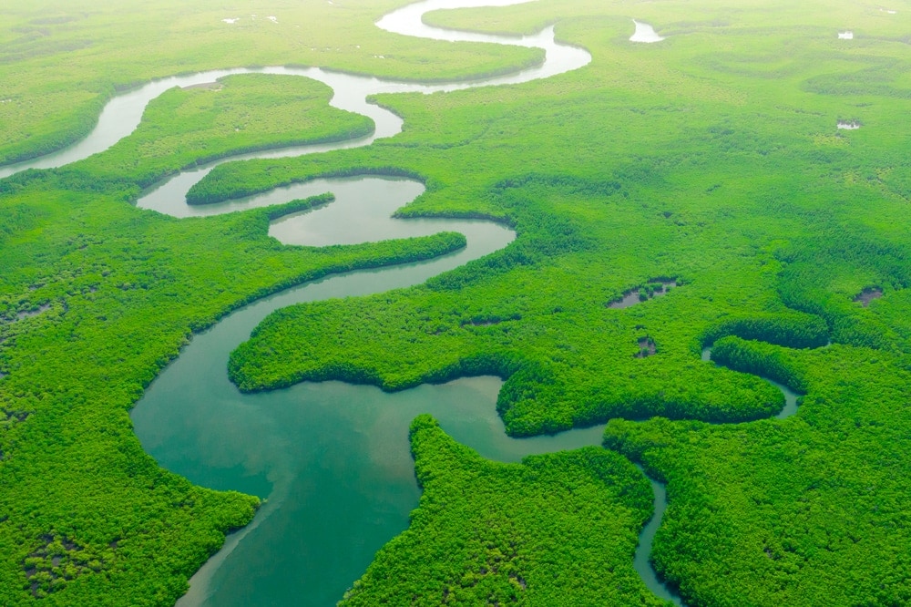 Large River Deltas