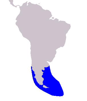 distribution map of Peale's dolphin