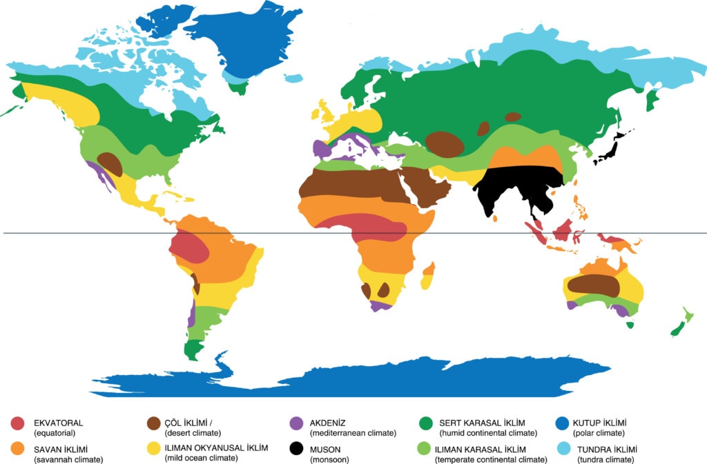 world map designed as a thematic map