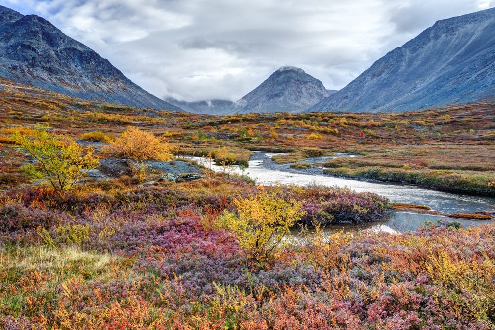 Tundra