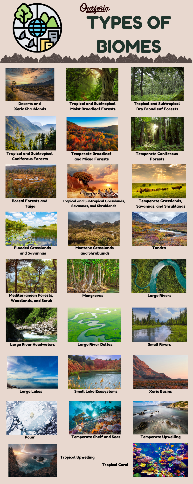 Chart and infographic of all the different biome types