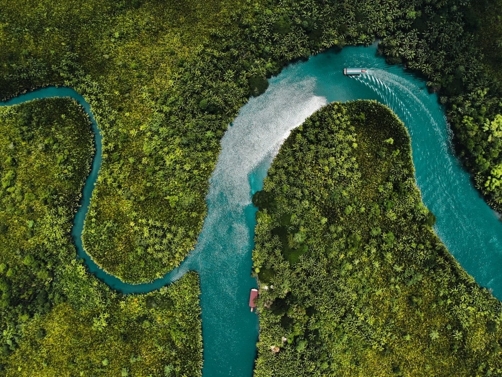 large river a type of freshwater biome