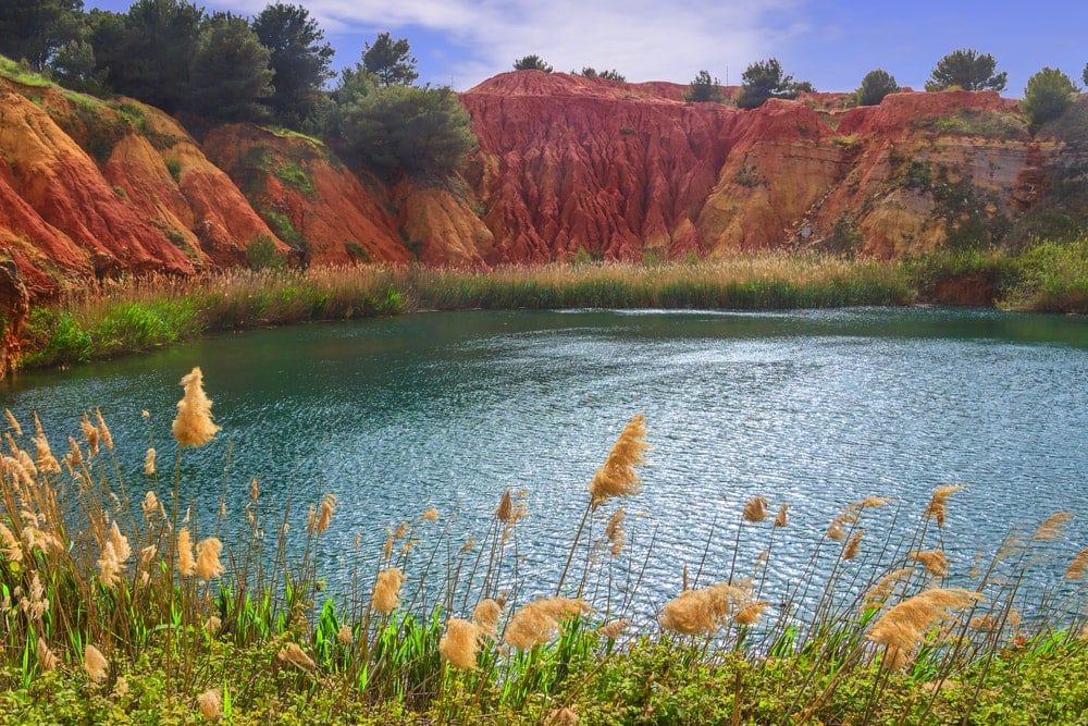 small lake Ecosystem