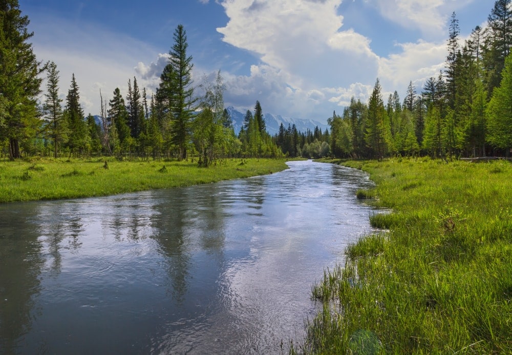 small river