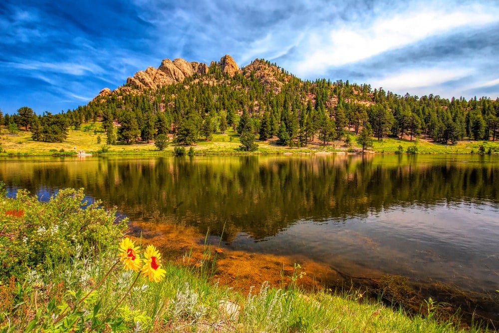 photo of lily lake with reflection taken at daytime