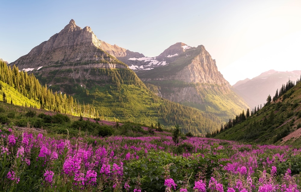 mountain view in Glacier National Park